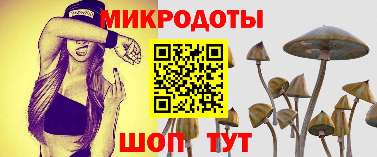 Биробиджан  Псилоцибиновые грибы MAGIC MUSHROOMS  Вход с VPN  Псилоцибиновые грибы Cubensis 